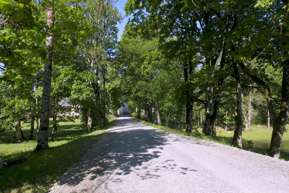 Alley near Striķi Manor