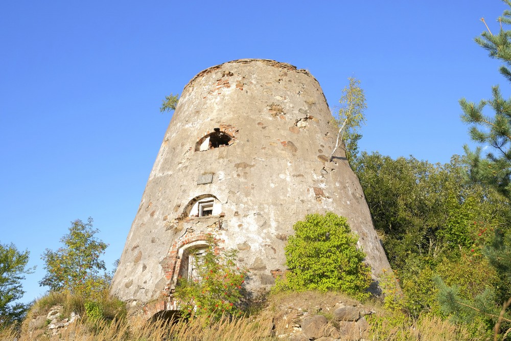 Low angle view of Minde windmill ruins and rowan bushes