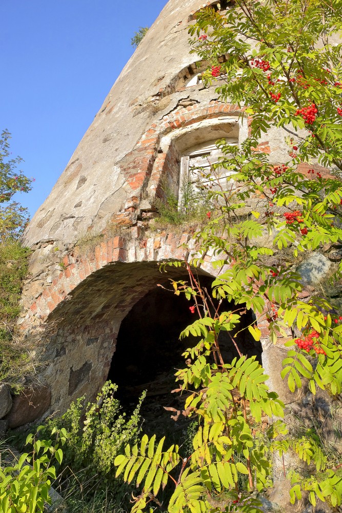 The entrance to the historic Minde windmill ruins behind rowan branches
