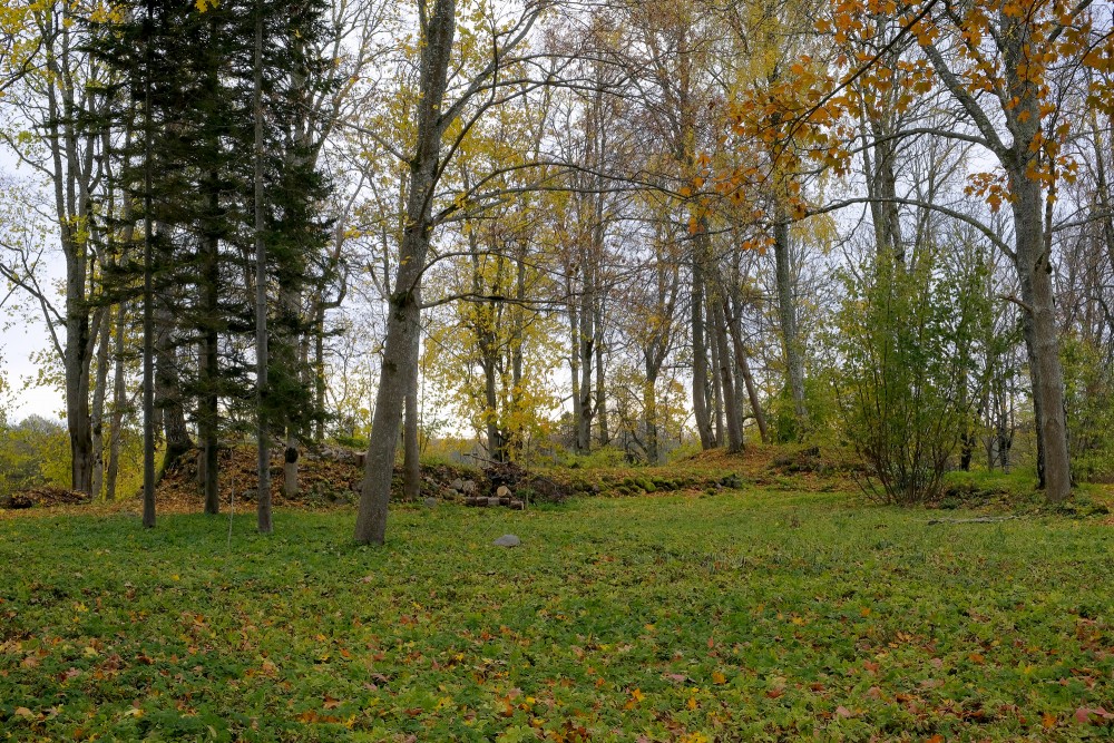 Vecsalacas muižas parks un ēkas drupas