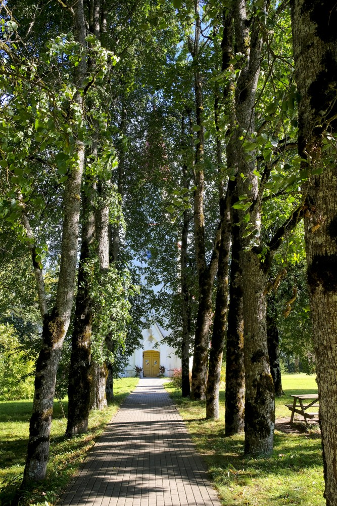 The Alley Leading to the Skujene Lutheran Church