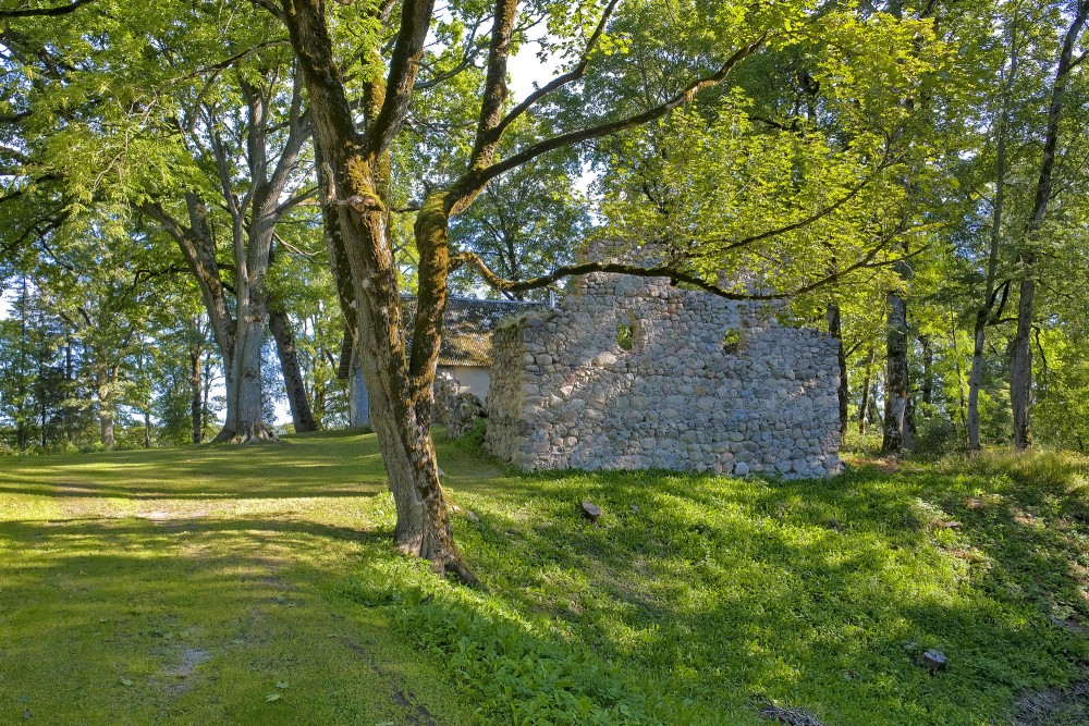Skujenes viduslaiku pilsdrupas
