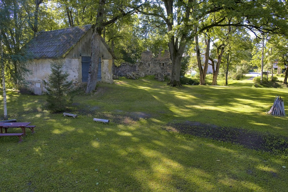 Skujenes pilskalns un Skujenes pilsdrupas