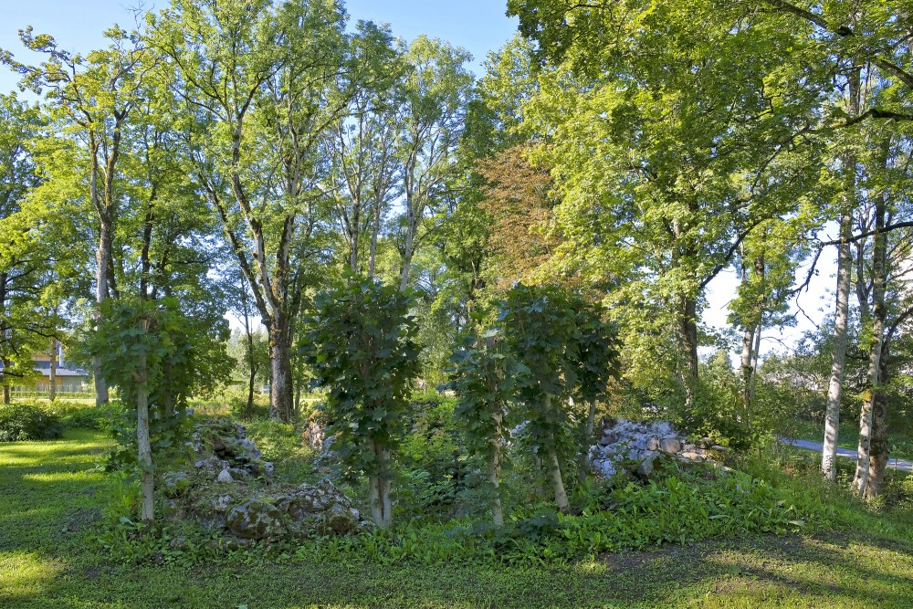 Skujenes pilskalns un Skujenes viduslaiku pilsdrupas