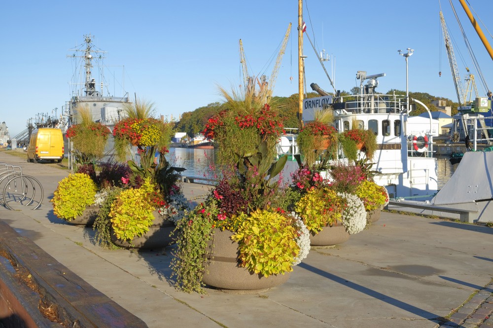Ziedu kompozīcijas Liepājas ostā