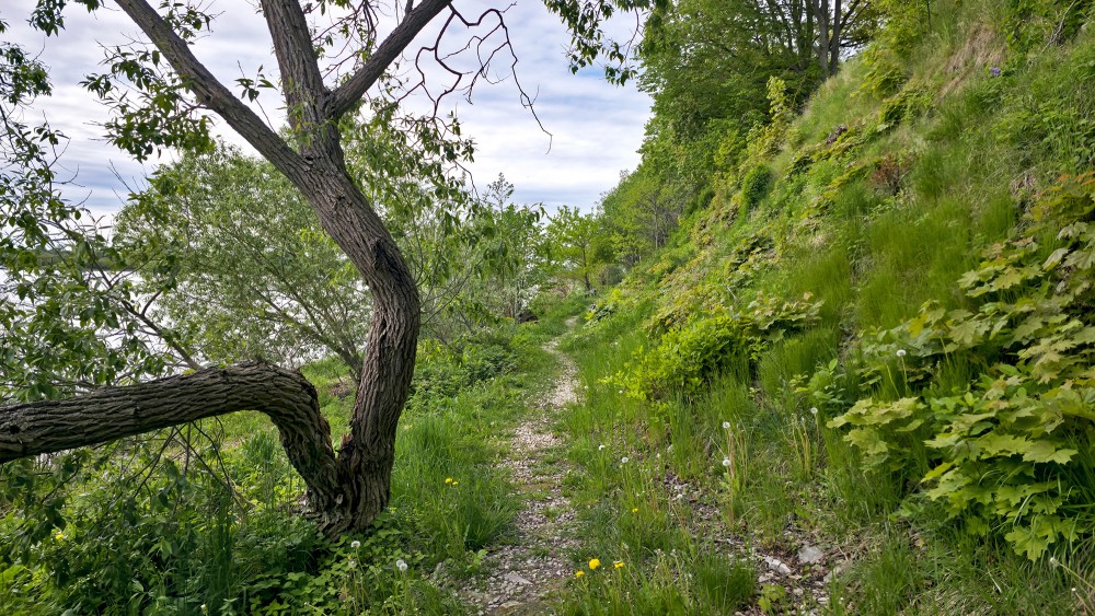 Walking path along the steep slope in Doles sala nature park Walking path along the steep slope in Doles sala nature park