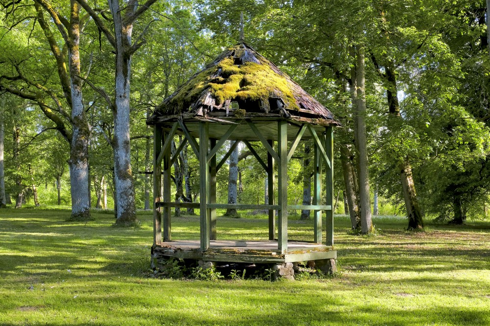 Lapene Ēdoles pils parkā Lapene Ēdoles pils parkā