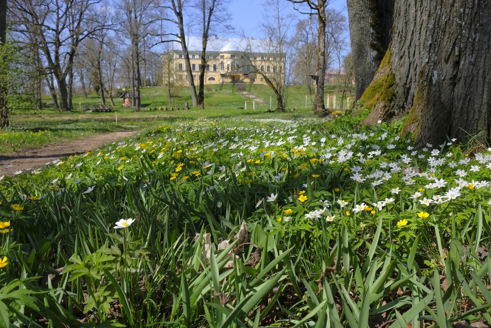 Remtes muižas parks pavasarī