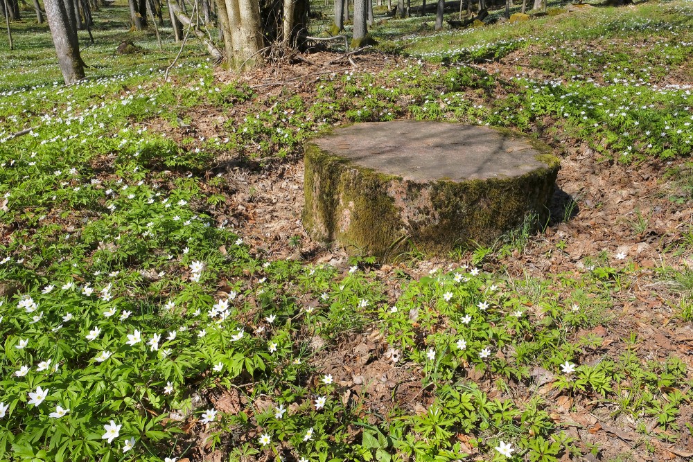 Apstrādāts akmens Remtes muižas parkā