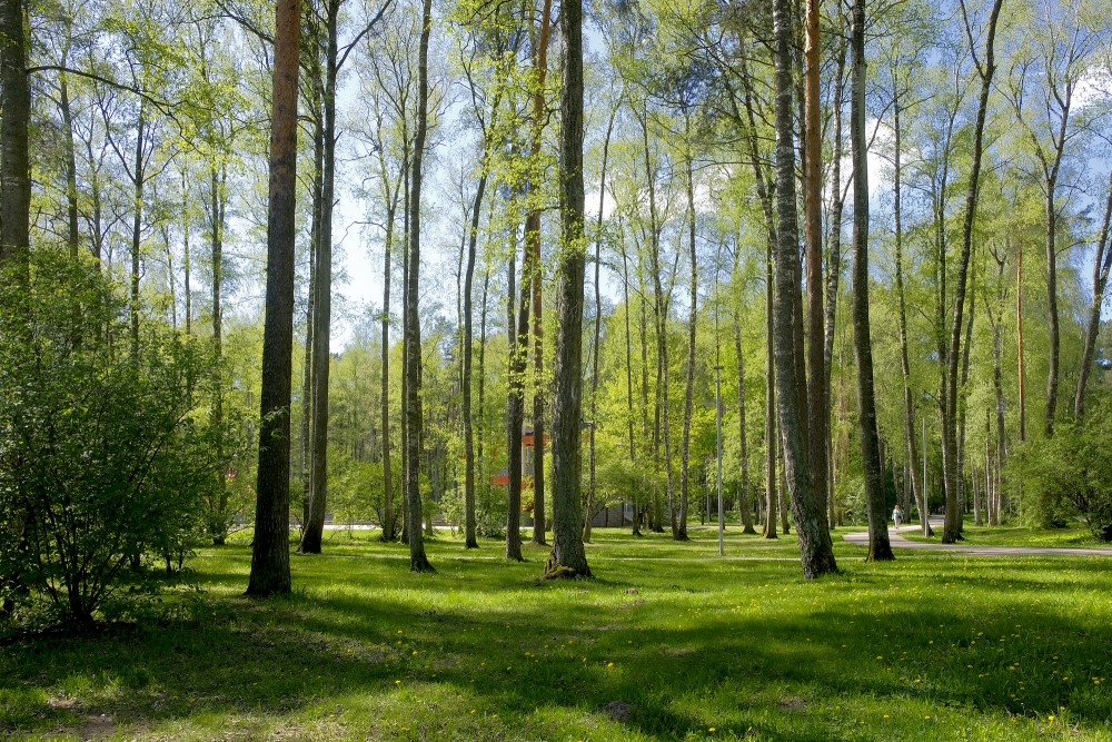 Olaines Mežaparks