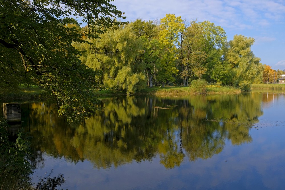 Koku atspulgs ūdenī, Vecauces parks