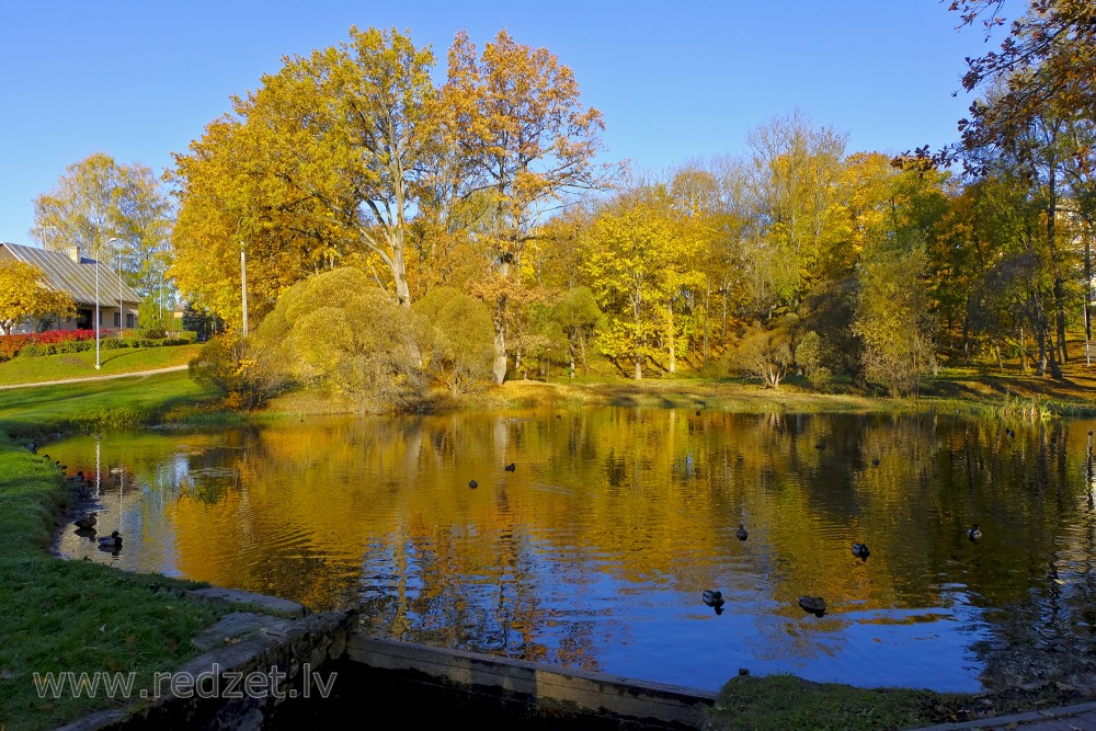 Pond in Madona Town, Latvia