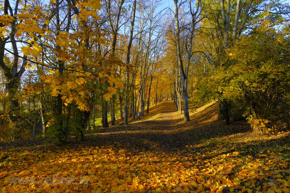 Madona Nature, Latvia