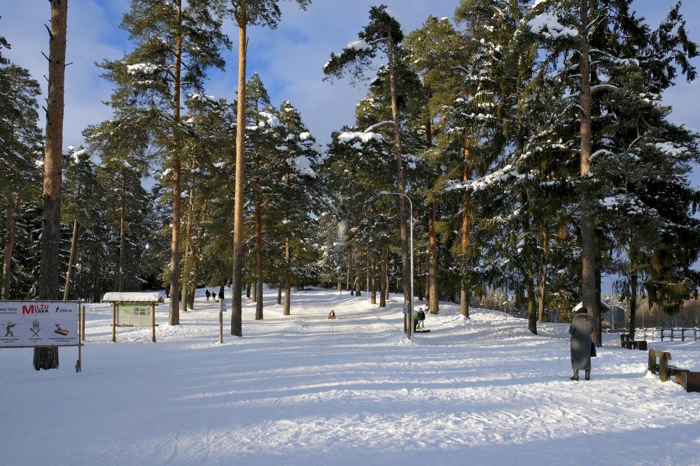 Dabas parks „Ogres Zilie kalni” ziemā