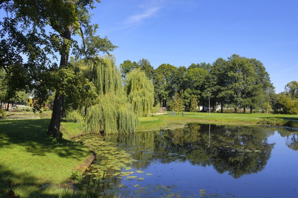 Arkadija Park pond with willow trees and reflections in a calm summer landscape