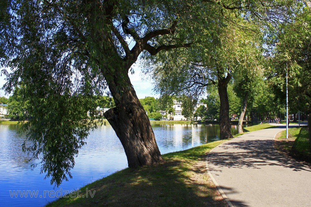 Mara's pond in Riga, Latvia