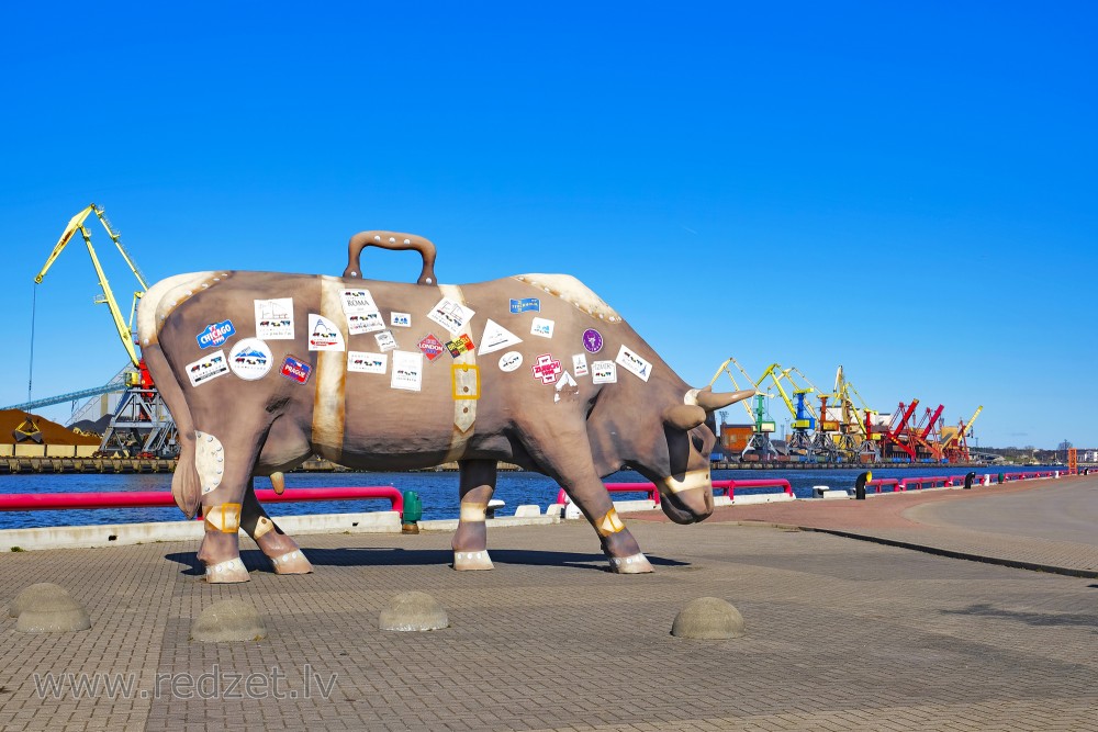 Travelling Cow, Ventspils, Latvia