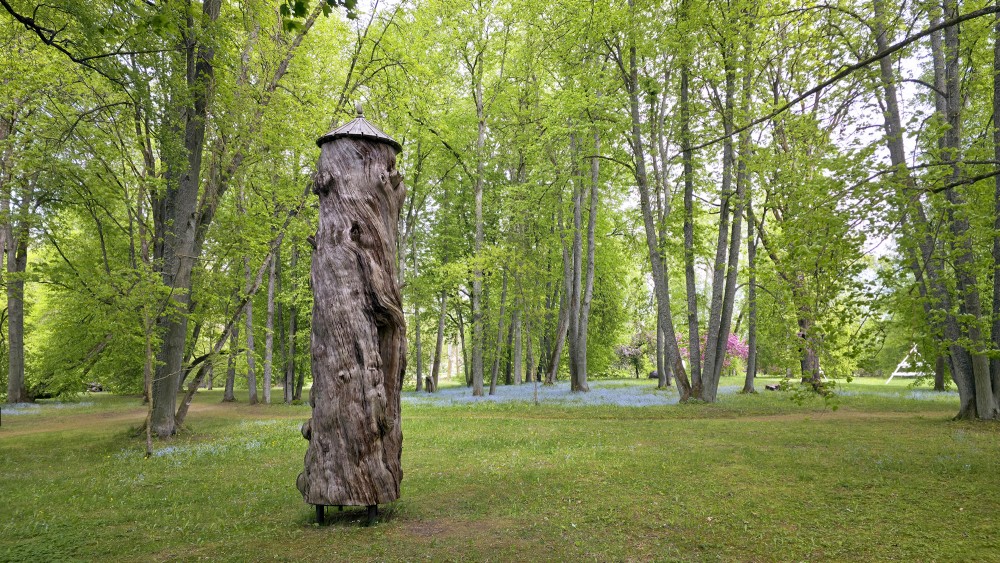 Ancient hollow tree hive as a nature exhibit in the manor park of the Daugava Museum
