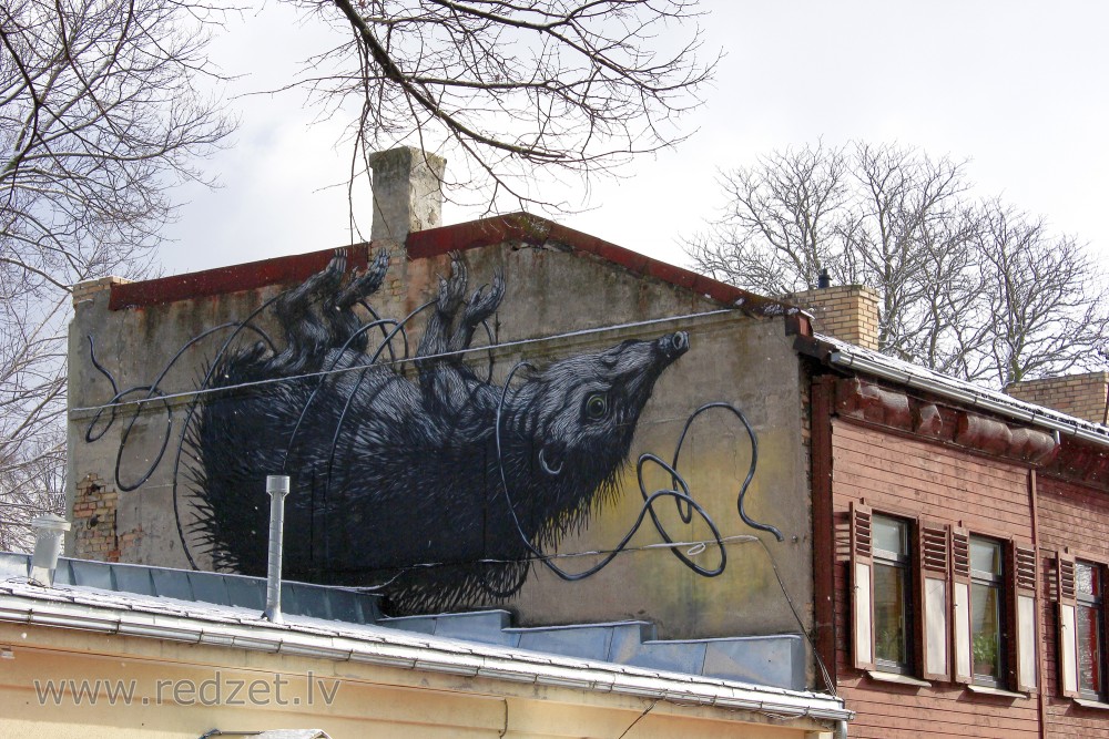 Grafiti Sparģeļu ielā 7, Rīga