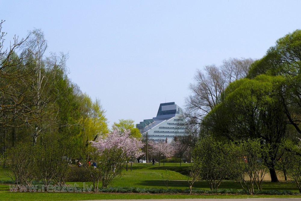 Uzvaras parks, ziedošas sakuras un Latvijas Nacionālā bibliotēka