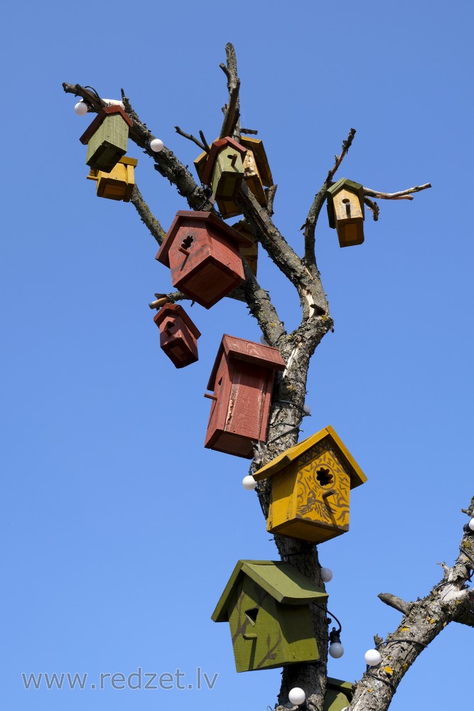 Restaurant ‘Putnu Dārzs’ bird hotel