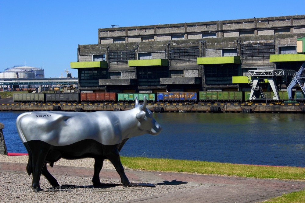 Sea Cow (sculptor Ieva Maurīte)