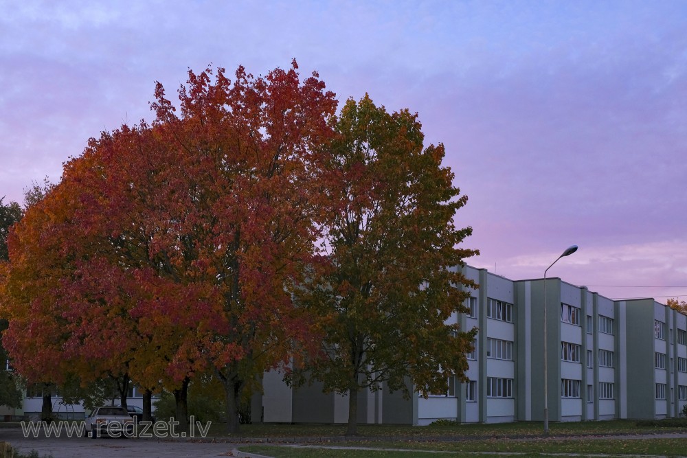 Block of flats in Ozolnieki