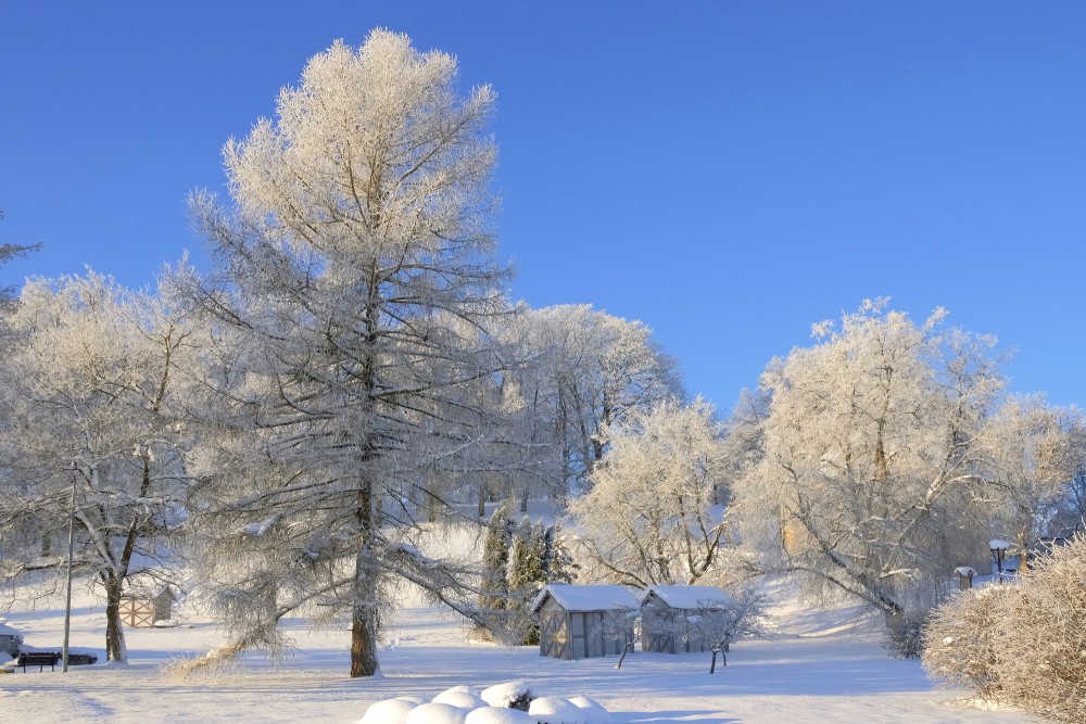 Kandavas ziemas ainava