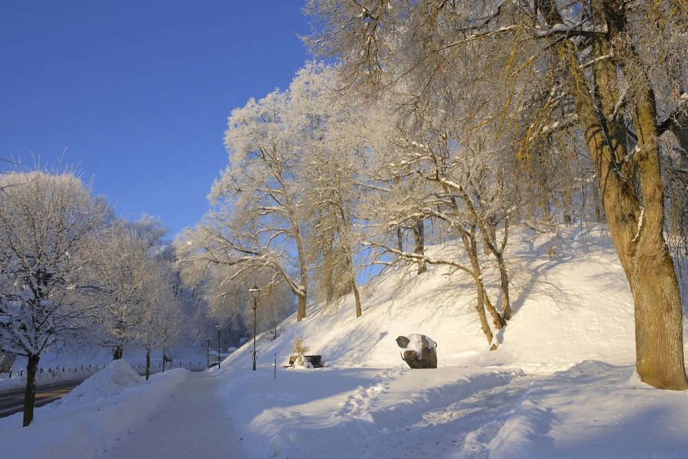 Kandavas ziemas ainava