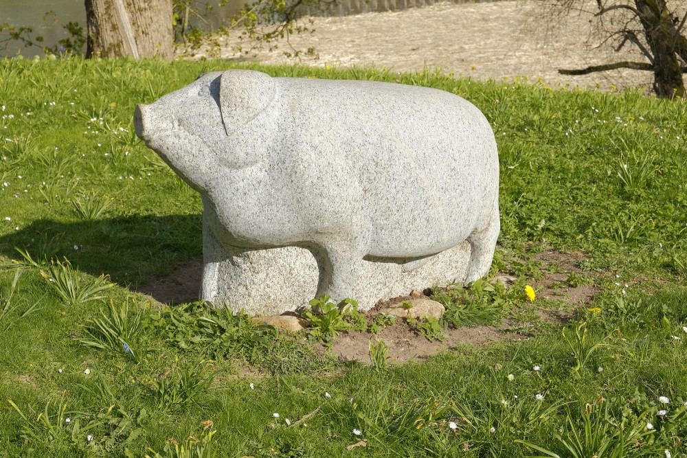 Fairy figures carved in stone - a black boar (Dundaga)