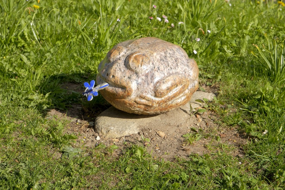 Fairy figures carved in stone - a frog (Dundaga)