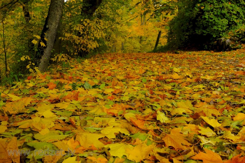 Cesvaines pils parks rudenī