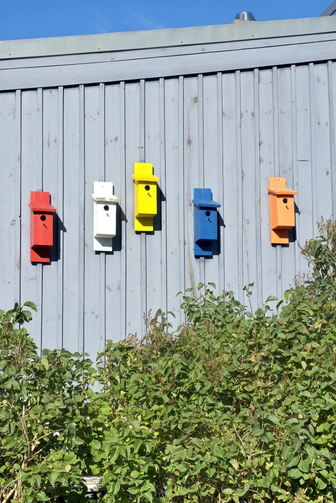 Row of five colorful wooden birdhouses on a grey building facade in Pavilosta Row of five colorful wooden birdhouses on a grey building facade in Pavilosta