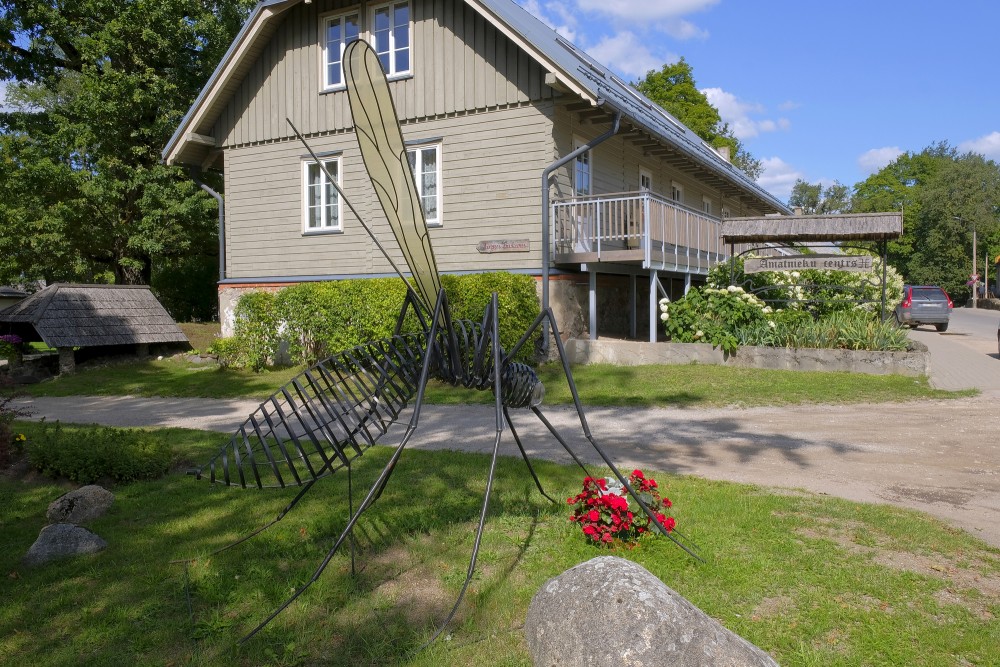 Environmental object "Ods" in Lubāna