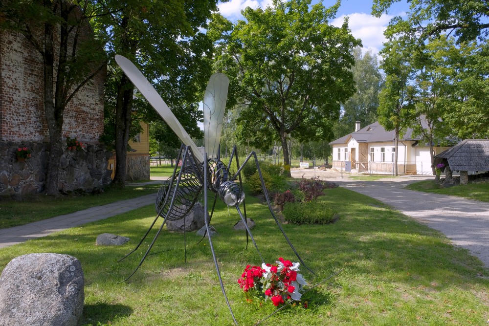 Environmental object "Ods" in Lubāna