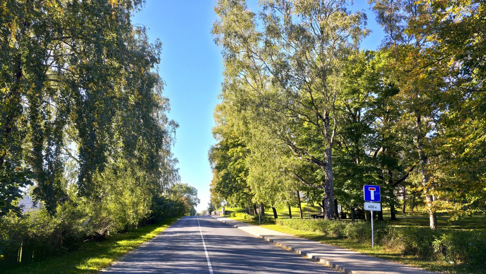 Paved street lined with trees in Pavilosta