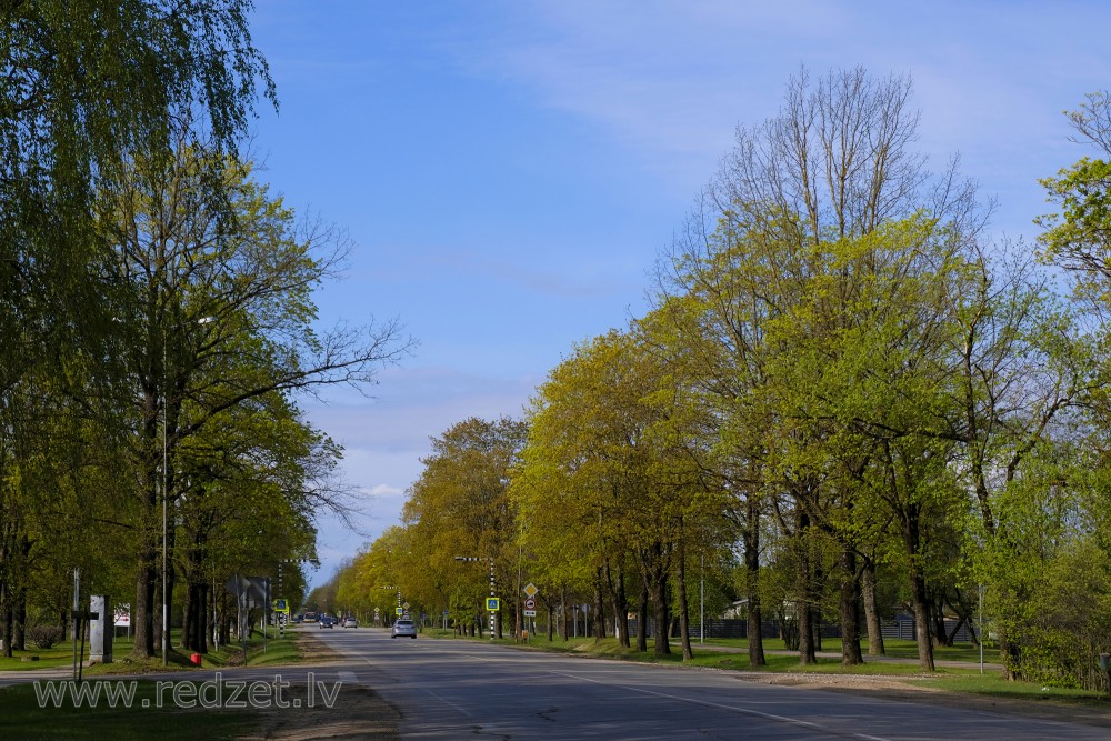 Rīgas iela Ozolniekos