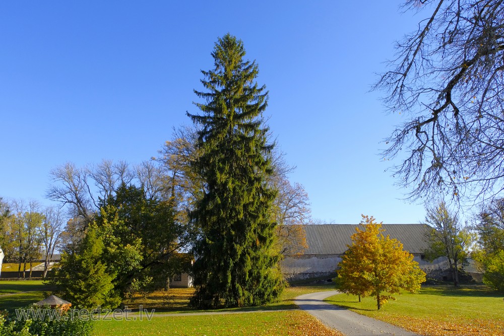 Vecpiebalga Manor Park in Autumn