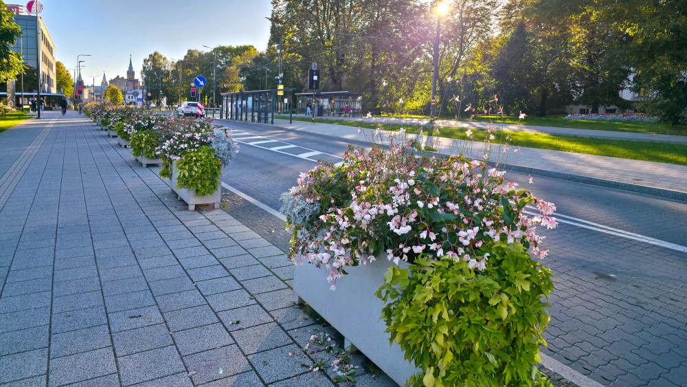 Zaļojoša ielas ietve ar ziedu kastēm Liepājas centrā