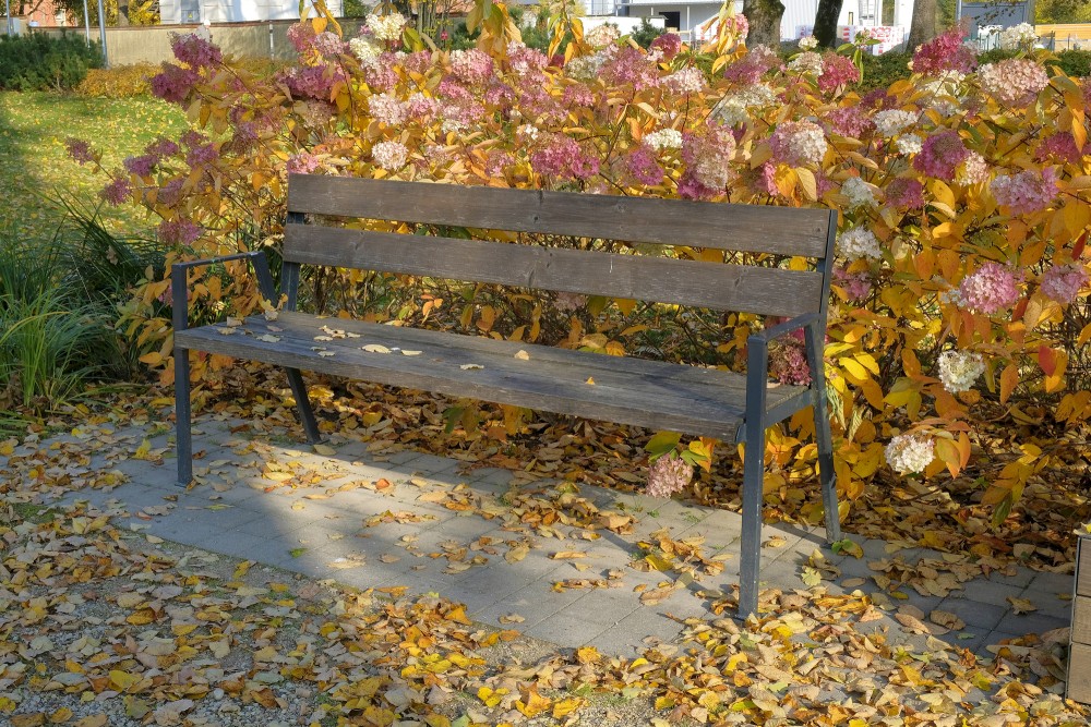 Bench At Rūjiena Stage, Autumn