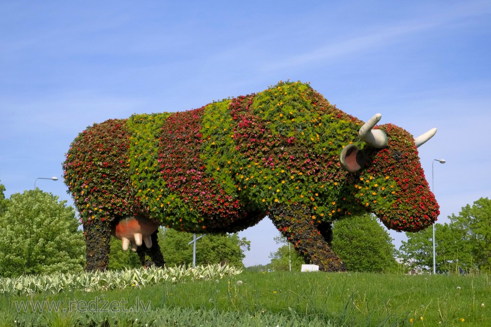 Flower bed "Flower Cow" in Ventspils