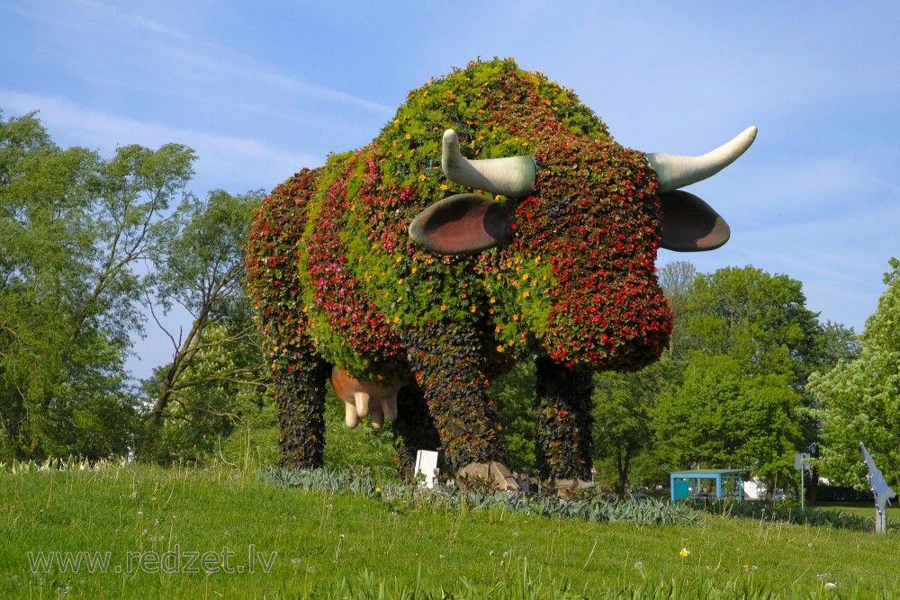 Flower bed "Flower Cow" in Ventspils