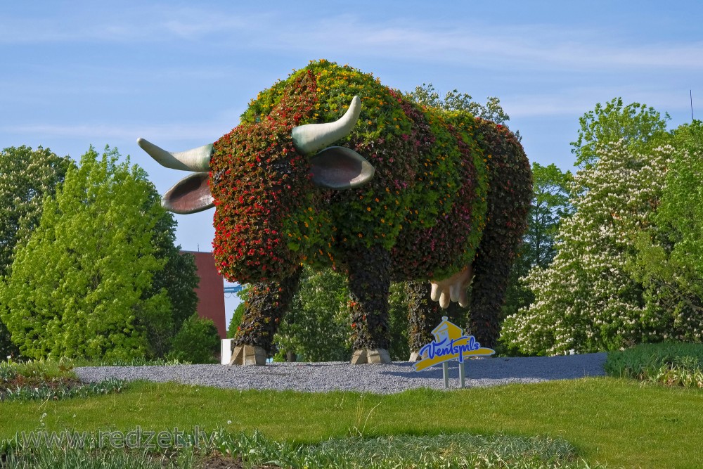 Flower bed "Flower Cow"