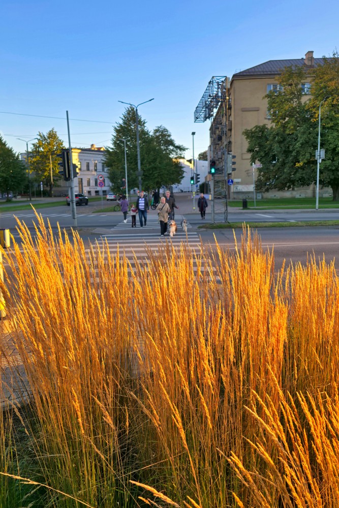 Liepāja in Autumn