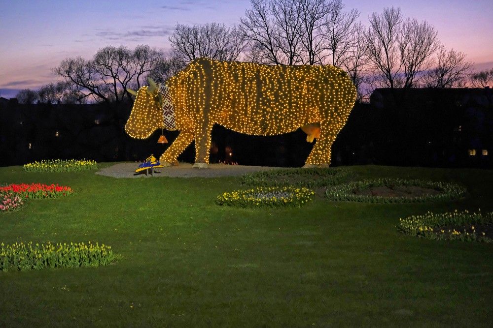 Flower bed "Flower Cow" at Night