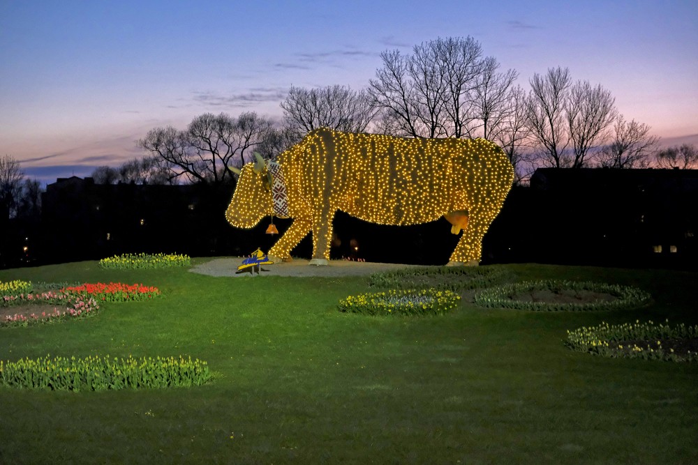 Flower bed "Flower Cow" at Night