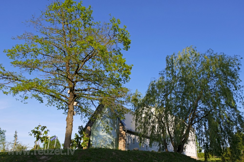 Barbele Boys School ''Roots and Wings'' from Chapel Side