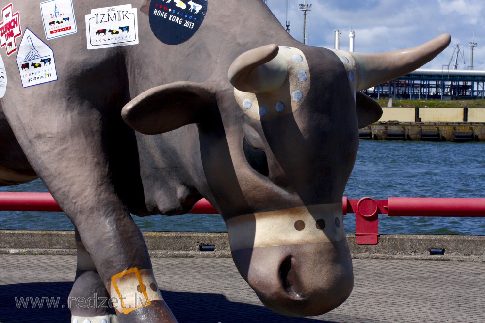 Travelling Cow, Ventspils, Latvia