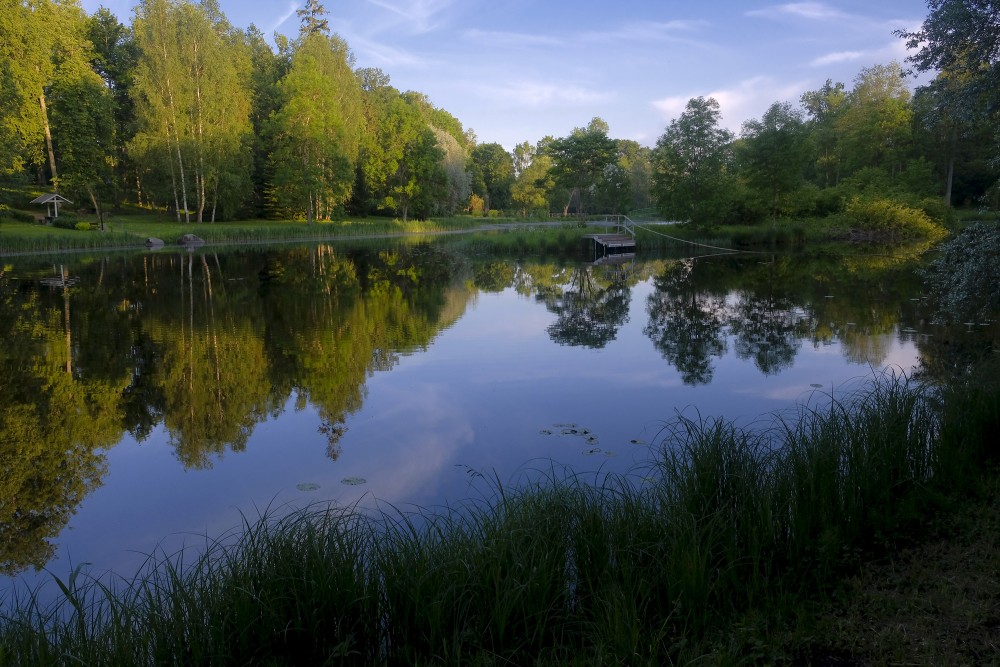 Zasa Mill Pond