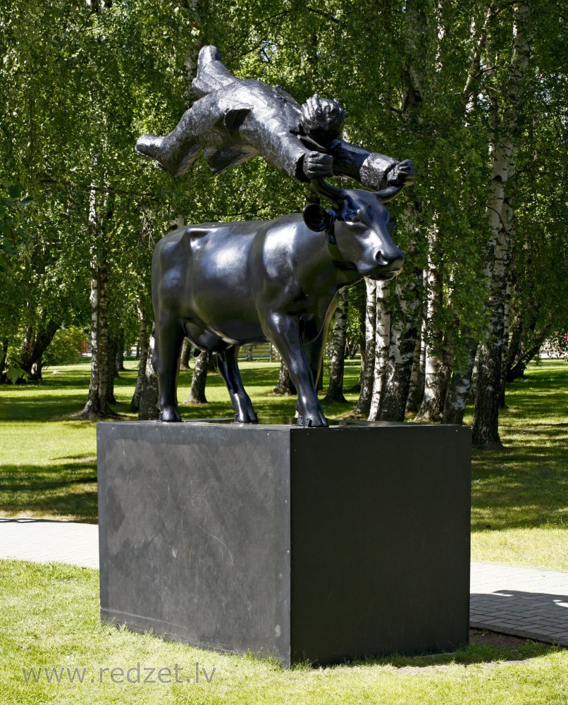 A Midsummer night’s levitation of an entrepreneur above a Kurzeme Blue Cow
